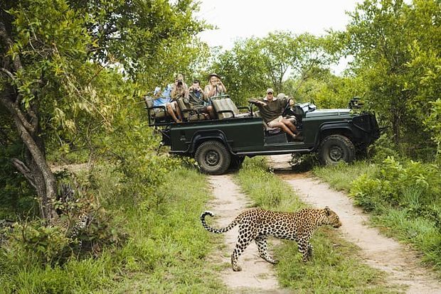  Kumbhalgarh Wildlife Sanctuary