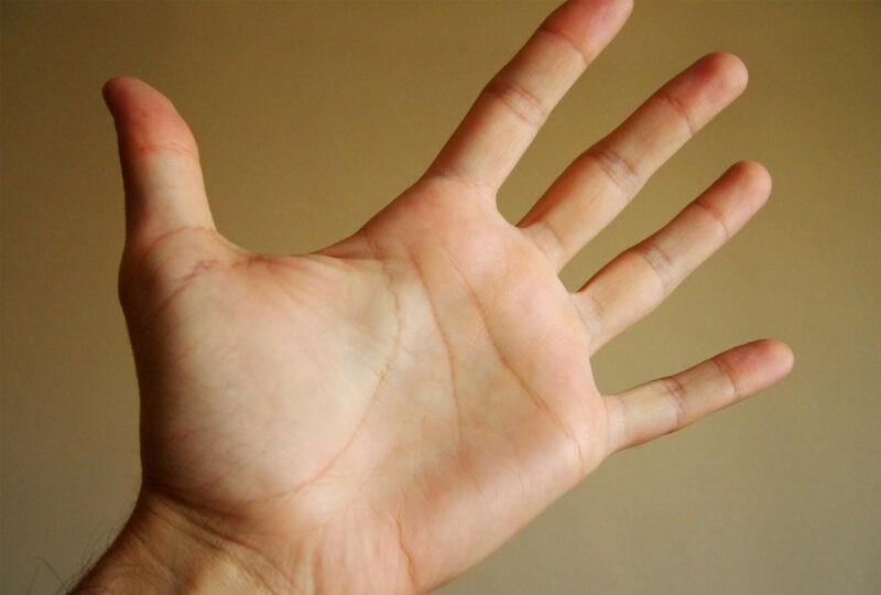 palmistry