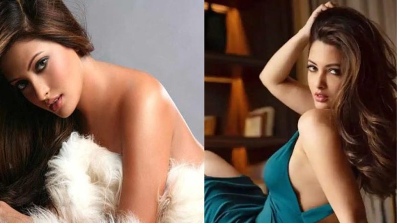 Yaad Piya Fame Actress Riya Sen Is Very Bold At The Age Of 41 - News Control