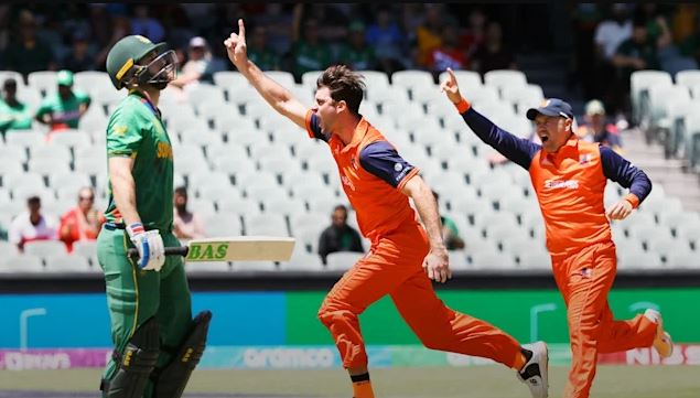ned vs sa