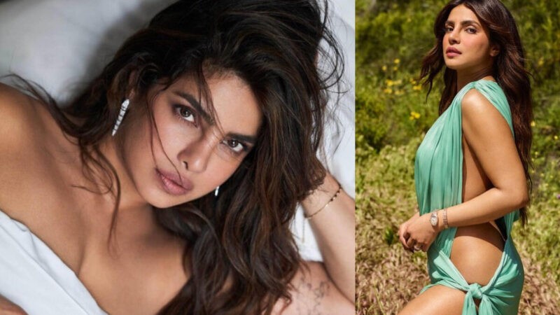 Priyanka Chopra Admits To FARTING In Public; Makes More SHOCKING Confessions - Filmibeat