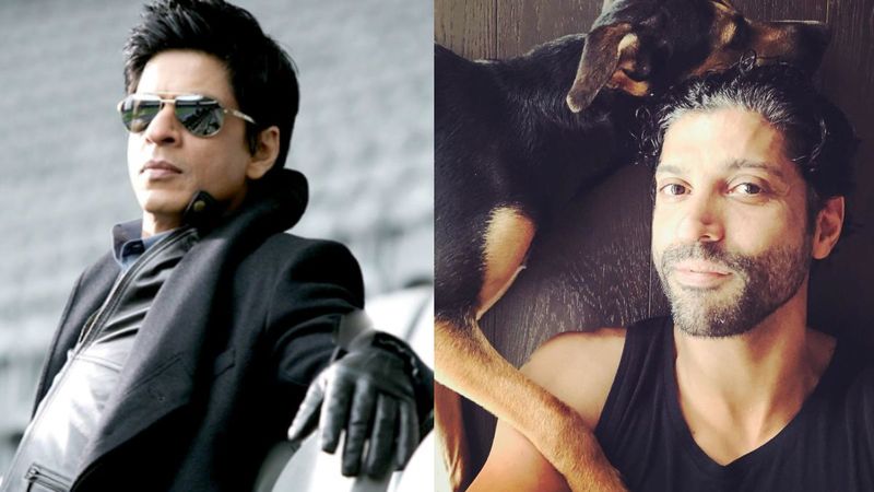 Is Don 3 With Shah Rukh Khan Ever Going To Happen? Here's What Farhan Akhtar Has To Say